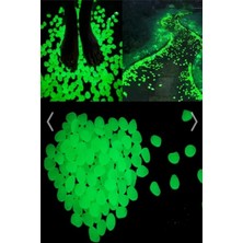 Anka Shop 250 Adet Gece Karanlıkta Parlayan Dekoratif Fosforlu Çakıl Taşı