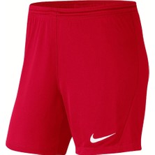 Nike Dri-FIT Park III Kadın Şort