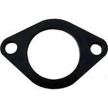 Monero Cg 125 Manifold Fiberi