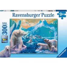 Ravensburger Çocuk Puzzle 300 Parça Kutup Ayıları 129478