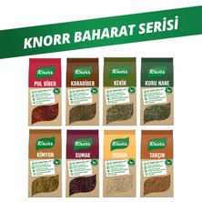 Knorr 8'li Baharat Serisi