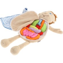 Lovoski Insan Vücudu Anatomisi Oyuncak Çocuk Anatomisi Oyuncaklar Organ Farkındalık Eğitim Oyuncaklar (Yurt Dışından)
