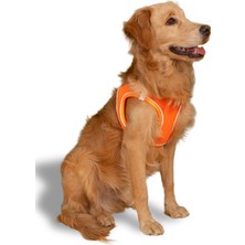 Mita Air Mesh Kedi Köpek Göğüs Tasması Çift Reflektörlü, Terletmeyen Neon Turuncu / Neon Orange