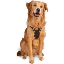 Mita Air Mesh Kedi Köpek Göğüs Tasması Çift Reflektörlü, Terletmeyen Haki / Khaki