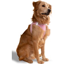 Mita Air Mesh Kedi Köpek Göğüs Tasması Çift Reflektörlü, Terletmeyen Açık Pembe / Candy Pink