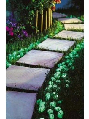 Anka Shop 100 Adet Gece Karanlıkta Parlayan Dekoratif Fosforlu Çakıl Taşı