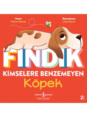 İş Bankası Kültür Yayınları Fındık Kimselere Benzemeyen Köpek - Claire Mowat