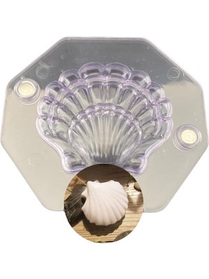 Pastry Planet 3D Deniz Kabuğu Şeffaf Polikarbon Çikolata Kalıbı