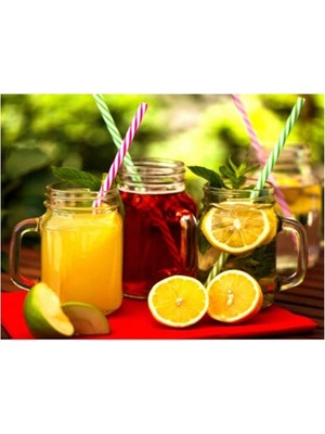 Otantik 6'lı Pipetli Cam Kavanoz Kupa 400ML Meşrubat Limonata Bardağı 4 Renk