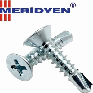 Matkap Uçlu Akıllı Vida 3,9X22 ( 100 Adet )