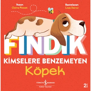 Fındık Kimselere Benzemeyen Köpek - Claire Mowat