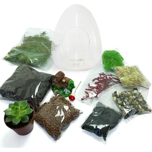 Teraryum Başlangıç Kiti Yumurta
