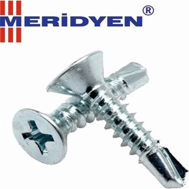 Meridyen Matkap Uçlu Akıllı Vida 3,9X19 ( 100 Adet