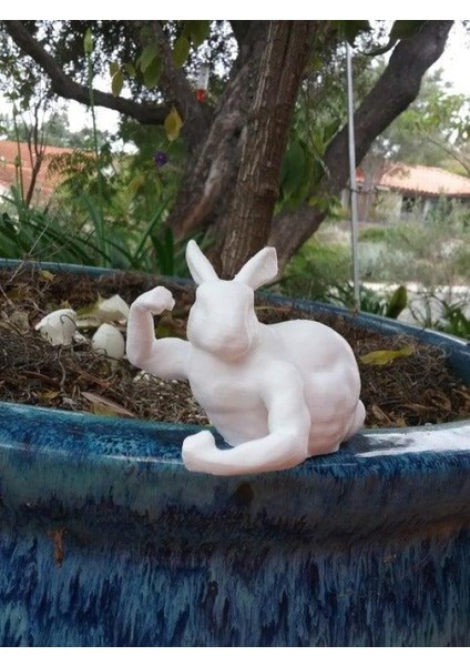 Ön Bacaklar Olmadan Beefy Tavşan Plastik Aparat