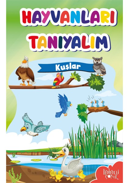Çocuklar Için Hayvanları Tanıyorum Kitabı (Ciltli) fırsatları