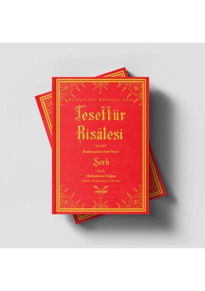 Tesettür Risalesi Şerhi - Muhammed Doğan