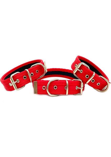 Yumuşak Dokulu Kolon Köpek Boyun Tasması Kırmızı