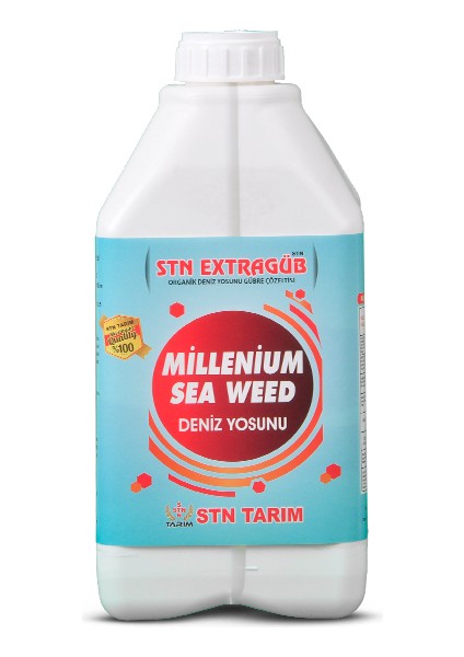 Extragüb Sea Weed (Deniz Yosunu)