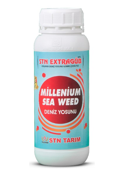 Extragüb Sea Weed (Deniz Yosunu)