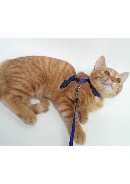 Ayarlanabilir Kedi Tasması 120 cm (4 Renk)