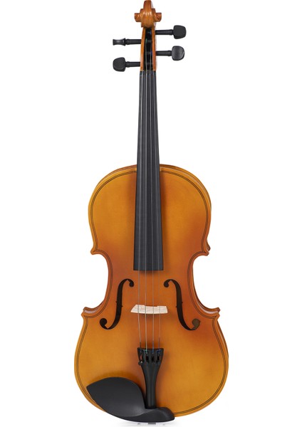 RVA165 4/4 Viola