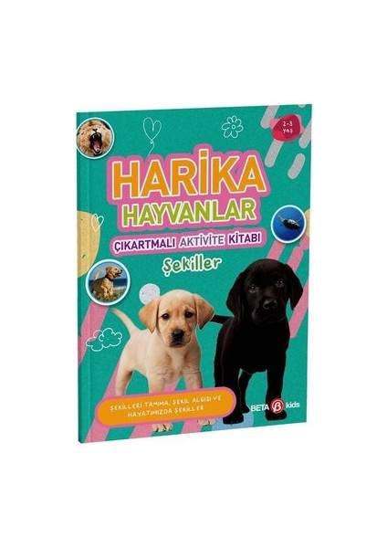 Harika Hayvanlar - Çıkartmalı Aktivite Kitabı