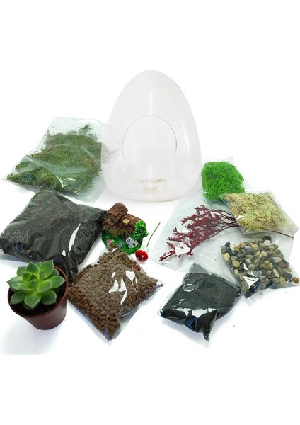 Teraryum Başlangıç Kiti Yumurta