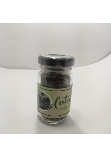 Catnip Doğal Kedi Otu - Kedi Nanesi