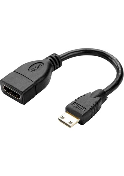 Taşınabilir Mikro Kadın Dönüştürücü, Temel Hdtv Adaptörü Konnektörü 1pc (Yurt Dışından)