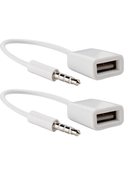 2x 3.5mm Erkek Ses Aux USB 2.0 Tipi Bir Kadın Otg Dönüştürücü Kablosu (Yurt Dışından)