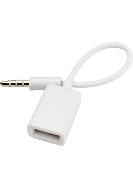2x 3.5mm Erkek Ses Aux USB 2.0 Tipi Bir Kadın Otg Dönüştürücü Kablosu (Yurt Dışından)
