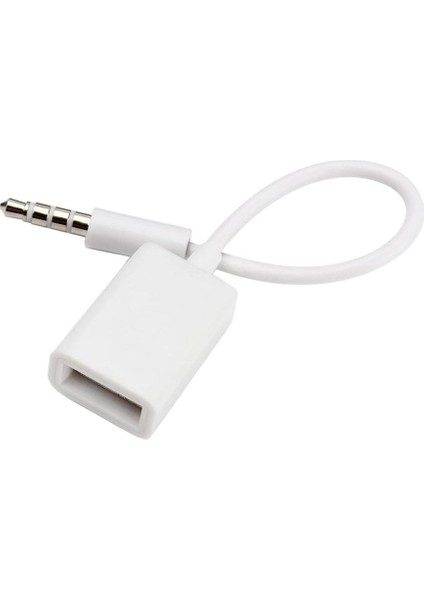 2x 3.5mm Erkek Ses Aux USB 2.0 Tipi Bir Kadın Otg Dönüştürücü Kablosu (Yurt Dışından)