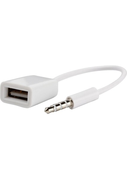 2x 3.5mm Erkek Ses Aux USB 2.0 Tipi Bir Kadın Otg Dönüştürücü Kablosu (Yurt Dışından)