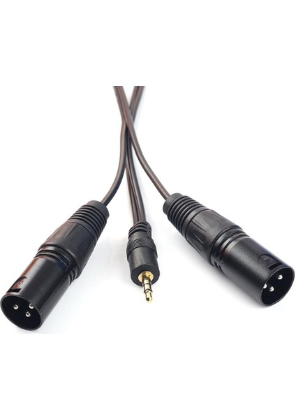 3.5mm Trs Erkek Çift Xlr Erkek Stereo Ses Y Splitter Adaptörü Kablosu (Yurt Dışından)