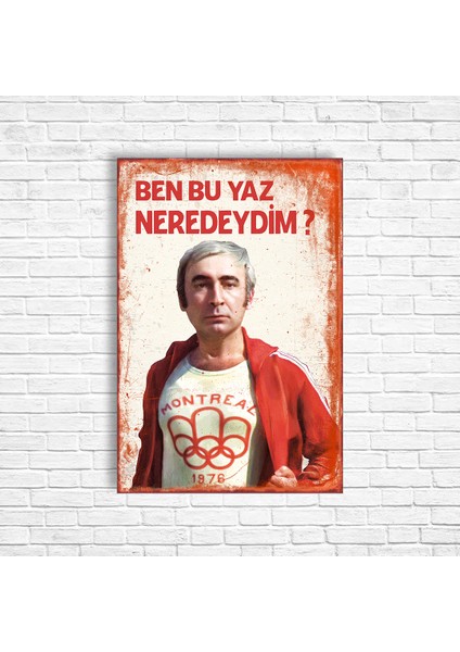 Şener Şen Ben Bu Yaz Nerdeydim? Retro Ahşap Poster