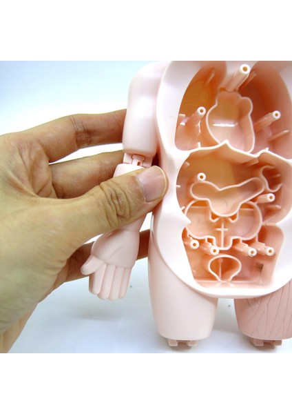 Organlar Anatomi Öğrenme Oyuncaklar Laboratuvar Heyecanlı Oyun ile 3D Insan Vücudu (Yurt Dışından) modelleri
