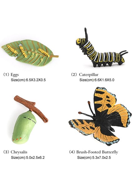 Gerçekçi Plastik Böcekler Oyuncaklar Yumurta Bebek Küçük Caterpillar Chrysalis Kelebek (Yurt Dışından) fiyatları