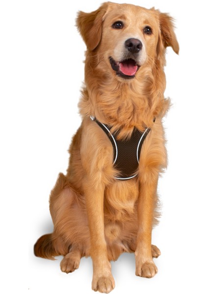 Air Mesh Kedi Köpek Göğüs Tasması Çift Reflektörlü, Terletmeyen Haki / Khaki