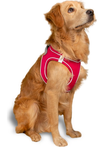 Air Mesh Kedi Köpek Göğüs Tasması Çift Reflektörlü, Terletmeyen Neon Pembe / Neon Pink fiyatları