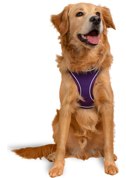 Air Mesh Kedi Köpek Göğüs Tasması Çift Reflektörlü, Terletmeyen Mor / Purple fiyatları