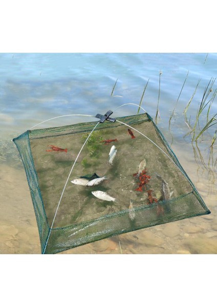 60 cm Katlanmış Balıkçılık Net Karides Crayfish Minnow Yem Dip Kafes Tuzağı (Yurt Dışından) modelleri