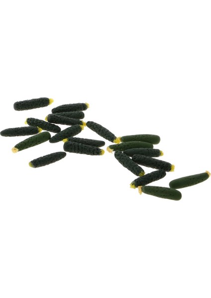 10 Minyatür Simülasyon Salatalık Modeli 1/12 Dollhouse Pişirme Accs (Yurt Dışından) fırsatları