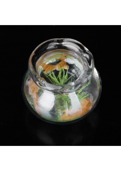 1/12 Dollhouse Minyatür Altın Kase Altın Tankı Dollhouse Evcil Hayvanlar (Yurt Dışından) modelleri