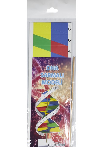 Karton Dna Sarmalı Modeli