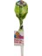 Multivitamin Lolipop Şeker 1