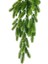Yapay Çiçek Sarkan Çiçek Yeşil Çam Iğneli Ponpon Yapay Sarmaşık 70*30CM Uv Katkılı Güneşe Dayanıklı 4