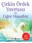 Çirkin Ördek Yavrusu ve Diğer Masallar - Nick Oliver 1
