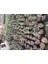 Adaçayı Şalba Fidanı 15-25 cm Salvia Officinalis 4