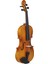 RVA165 4/4 Viola 5