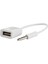 2x 3.5mm Erkek Ses Aux USB 2.0 Tipi Bir Kadın Otg Dönüştürücü Kablosu (Yurt Dışından) 5